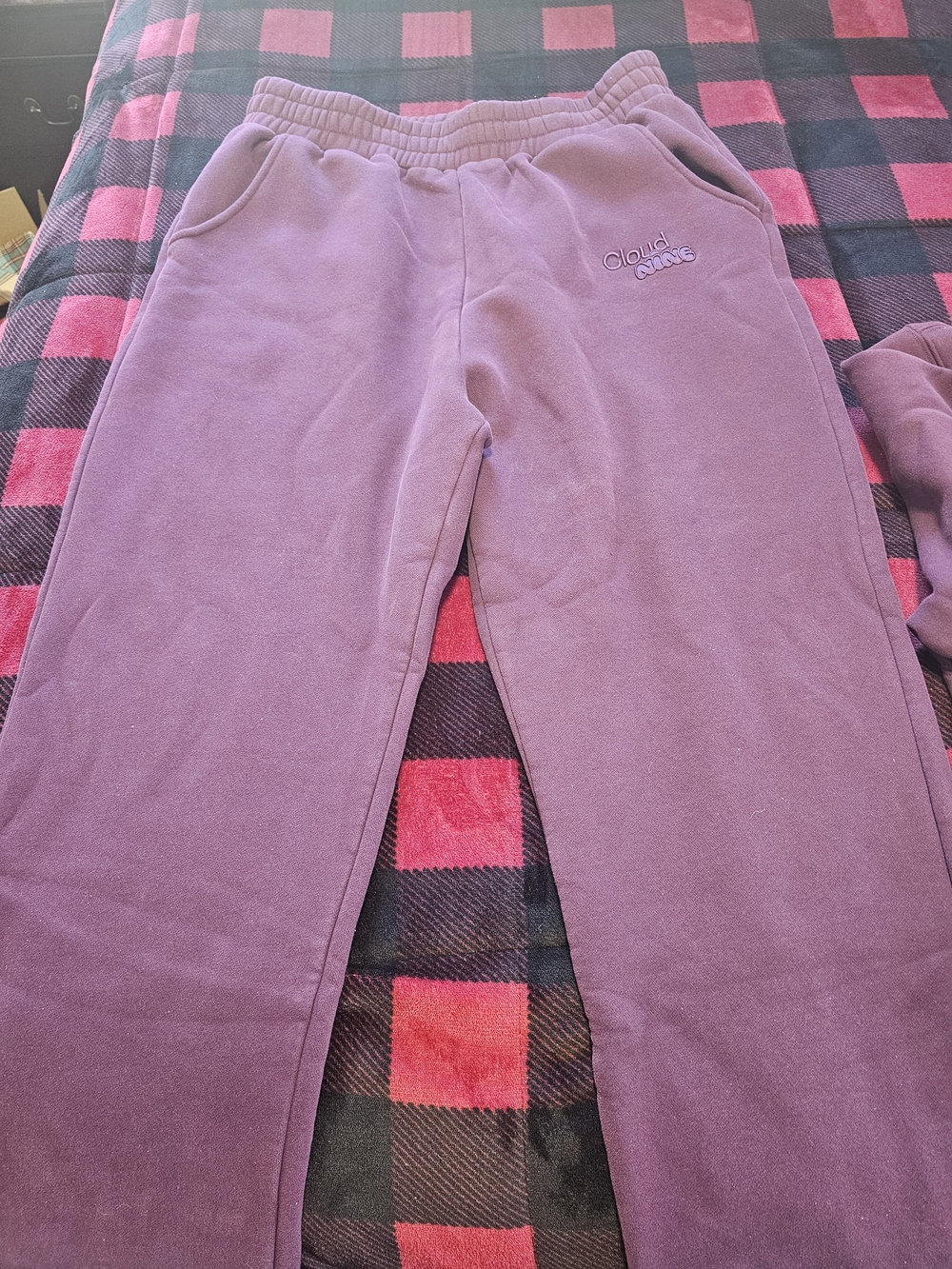 Cloud Nine Men's Purple Jogger Sweatpants